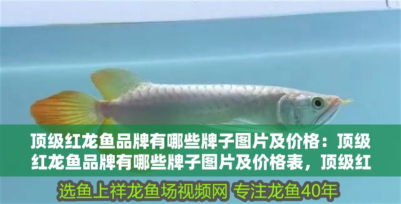 頂級(jí)紅龍魚品牌有哪些牌子圖片及價(jià)格：頂級(jí)紅龍魚品牌有哪些牌子圖片及價(jià)格表，頂級(jí)紅龍魚品牌、圖片與價(jià)格