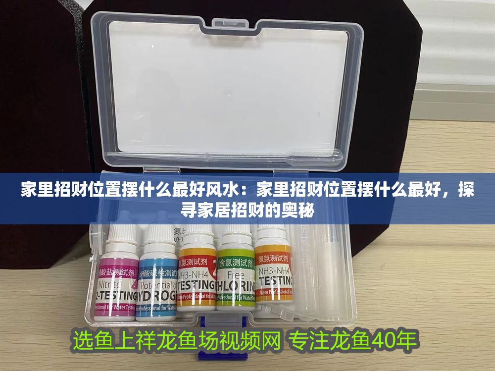 詳細閱讀:家里招財位置擺什么最好風水:家里招財位置擺什么最好,探尋家居招財的奧秘 家里招財位置擺什么最好風水:家里招財位置擺什么最好,探尋家居招財的奧秘