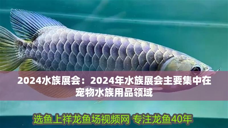 2024水族展會：2024年水族展會主要集中在寵物水族用品領域