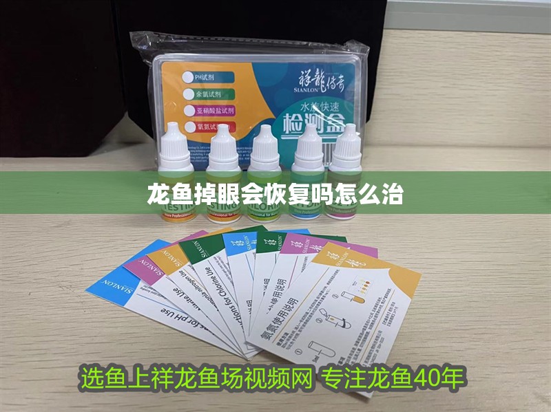 龍魚掉眼會恢復(fù)嗎怎么治