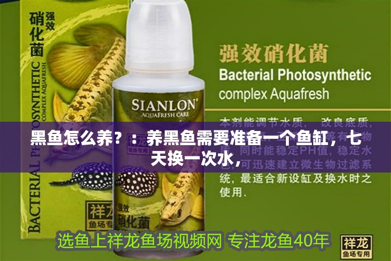 黑魚(yú)怎么養(yǎng)？：養(yǎng)黑魚(yú)需要準(zhǔn)備一個(gè)魚(yú)缸，七天換一次水，