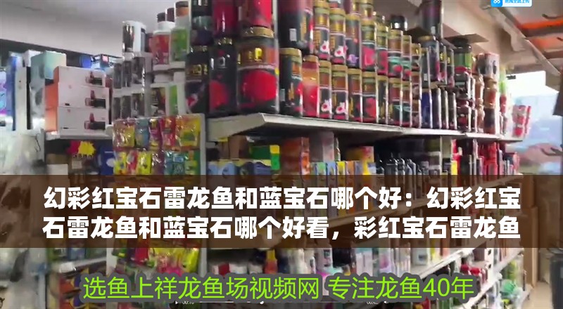 幻彩紅寶石雷龍魚(yú)和藍(lán)寶石哪個(gè)好：幻彩紅寶石雷龍魚(yú)和藍(lán)寶石哪個(gè)好看，彩紅寶石雷龍魚(yú)VS藍(lán)寶石，