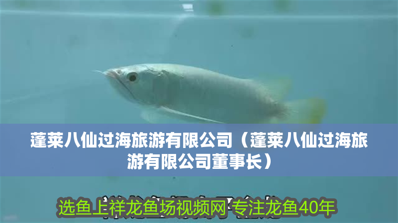 蓬萊八仙過海旅游有限公司（蓬萊八仙過海旅游有限公司董事長） 蓬萊八仙過海旅游有限公司（蓬萊八仙過海旅游有限公司董事長） 全國水族館企業名錄 第2張