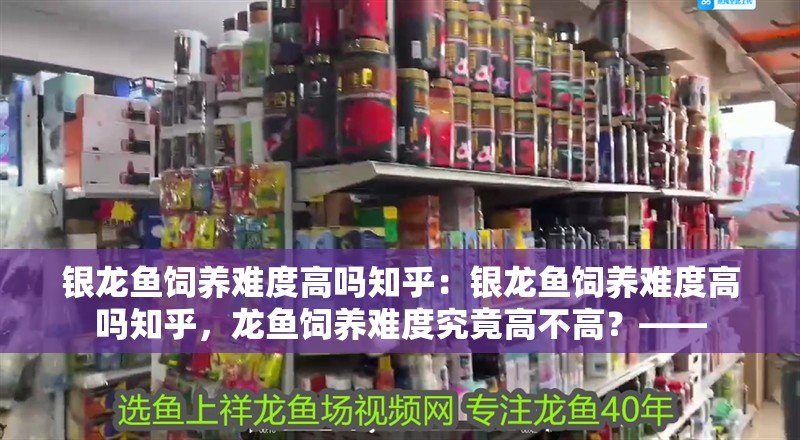 銀龍魚飼養難度高嗎知乎：銀龍魚飼養難度高嗎知乎，龍魚飼養難度究竟高不高？——