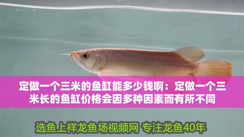 定做一個三米的魚缸能多少錢啊：定做一個三米長的魚缸價格會因多種因素而有所不同