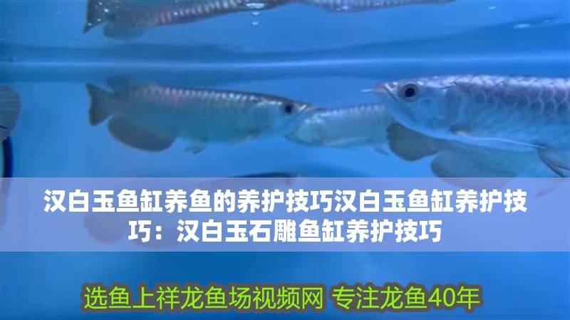 漢<strong><mark>白玉</mark></strong>魚缸養魚的養護技巧漢<strong><mark>白玉</mark></strong>魚缸養護技巧：漢<strong><mark>白玉</mark></strong>石雕魚缸養護技巧