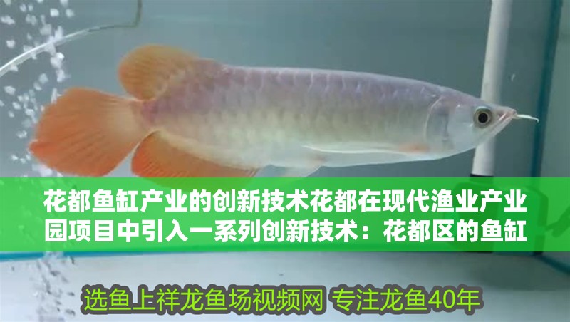 花都魚(yú)缸產(chǎn)業(yè)的創(chuàng)新技術(shù)花都在現(xiàn)代漁業(yè)產(chǎn)業(yè)園項(xiàng)目中引入一系列創(chuàng)新技術(shù)：花都區(qū)的魚(yú)缸工廠