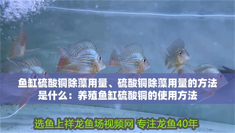 魚缸硫酸銅除藻用量、硫酸銅除藻用量的方法是什么：養殖魚缸硫酸銅的使用方法
