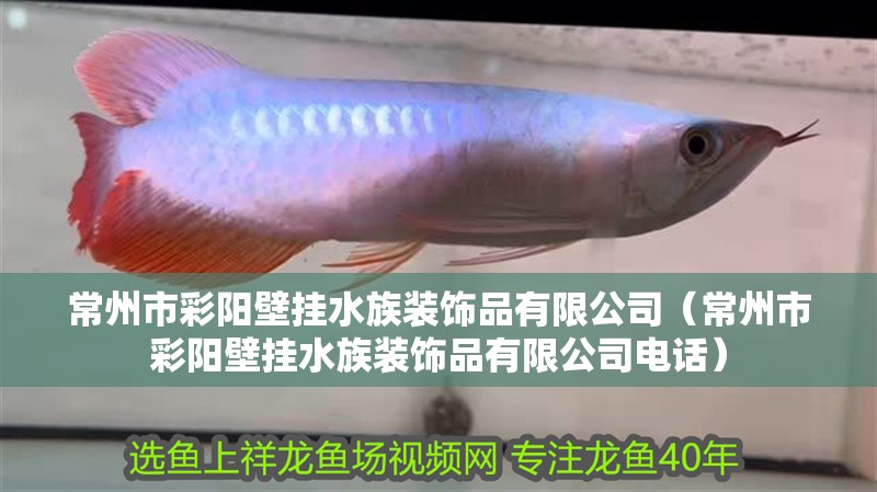 常州市彩陽壁掛水族裝飾品有限公司（常州市彩陽壁掛水族裝飾品有限公司電話）
