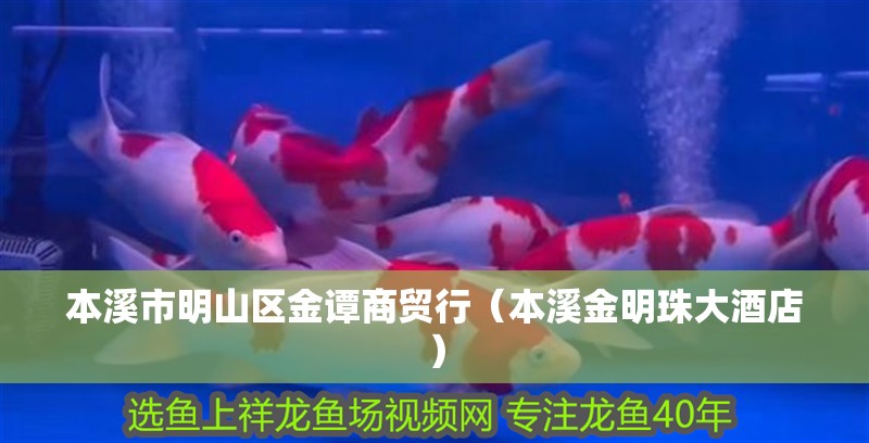 本溪市明山區金譚商貿行（本溪金明珠大酒店） 本溪市明山區金譚商貿行（本溪金明珠大酒店） 全國水族館企業名錄 第2張