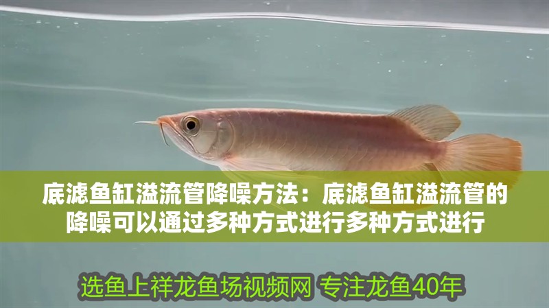 底濾魚缸溢流管降噪方法：底濾魚缸溢流管的降噪可以通過多種方式進行多種方式進行