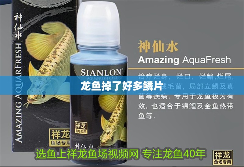 龍魚掉了好多鱗片