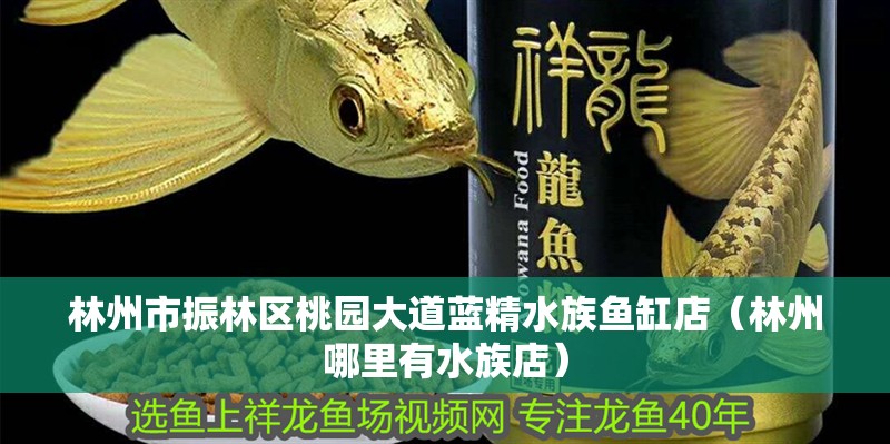 林州市振林區(qū)桃園大道藍(lán)精水族魚缸店（林州哪里有水族店）