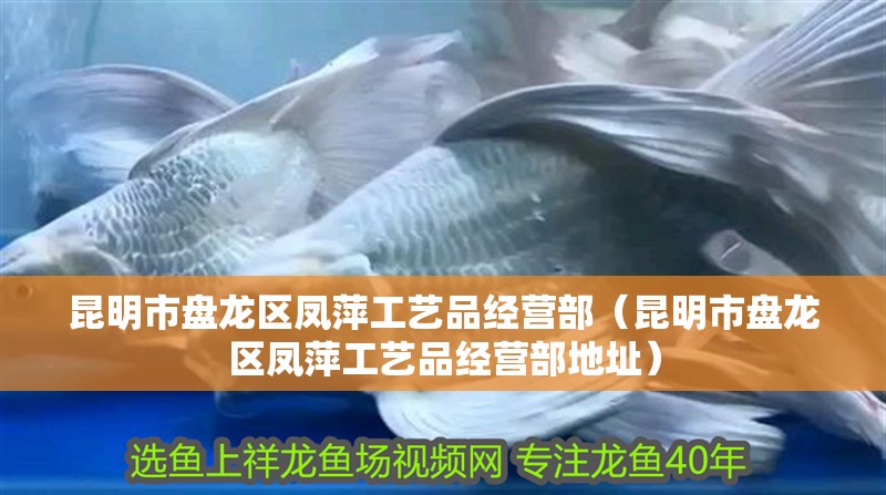 昆明市盤龍區鳳萍工藝品經營部（昆明市盤龍區鳳萍工藝品經營部地址） 昆明市盤龍區鳳萍工藝品經營部（昆明市盤龍區鳳萍工藝品經營部地址） 全國水族館企業名錄 第2張