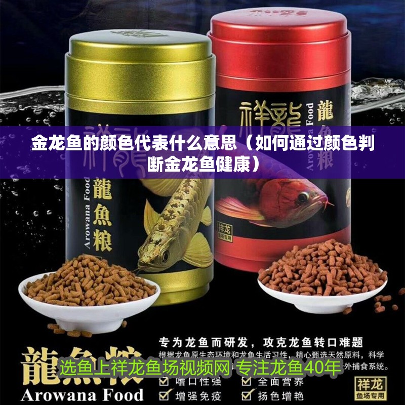 金龍魚的顏色代表什么意思（如何通過顏色判斷金龍魚健康）