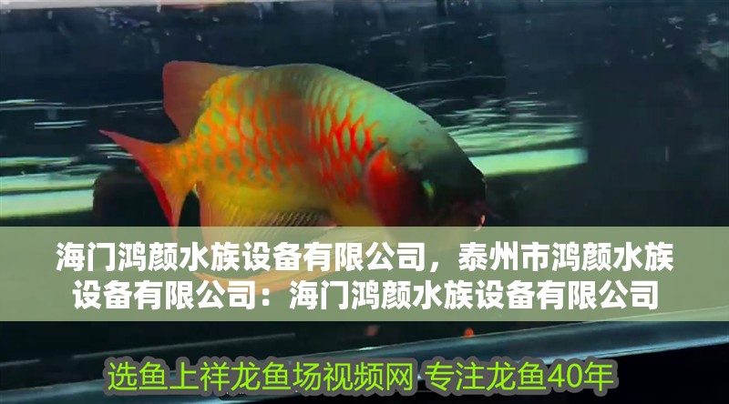 海門鴻顏水族設備有限公司，<strong><mark>泰州</mark></strong>市鴻顏水族設備有限公司：海門鴻顏水族設備有限公司