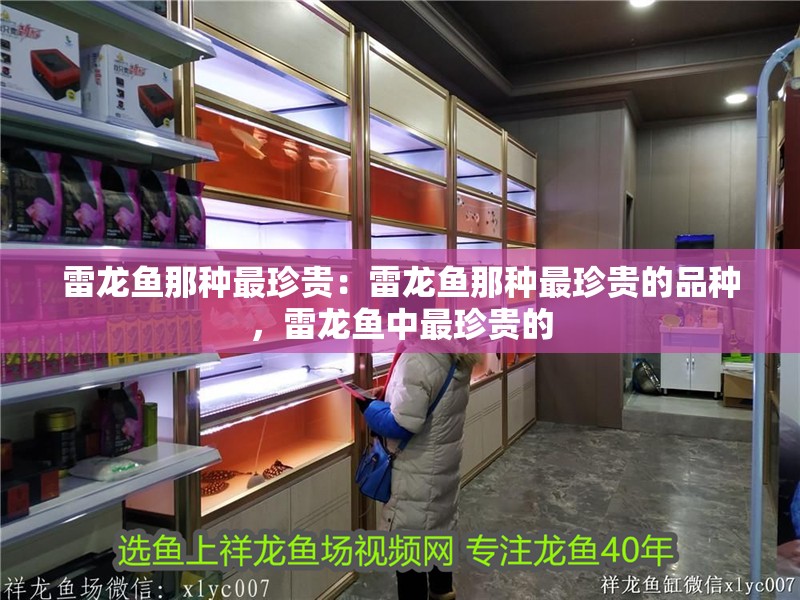 雷龍魚那種最珍貴：雷龍魚那種最珍貴的品種，雷龍魚中最珍貴的 雷龍魚那種最珍貴：雷龍魚那種最珍貴的品種，雷龍魚中最珍貴的 水族問答