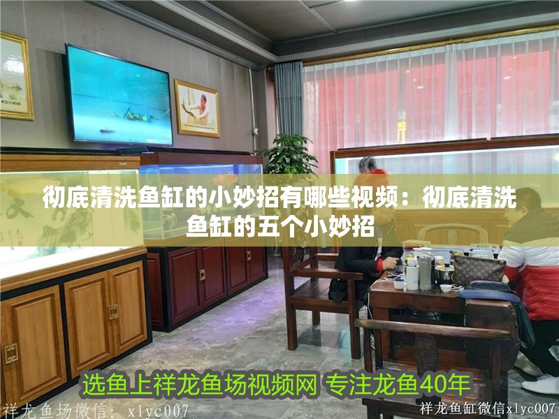 徹底清洗魚缸的小妙招有哪些視頻：徹底清洗魚缸的五個小妙招