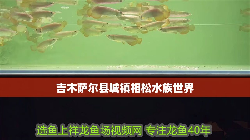 吉木薩爾縣城鎮相松水族世界