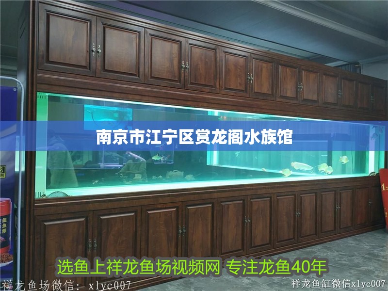 南京市江寧區(qū)賞龍閣水族館 全國水族館企業(yè)名錄 第2張 南京市江寧區(qū)賞龍閣水族館 南京市江寧區(qū)賞龍閣水族館 全國水族館企業(yè)名錄 第2張