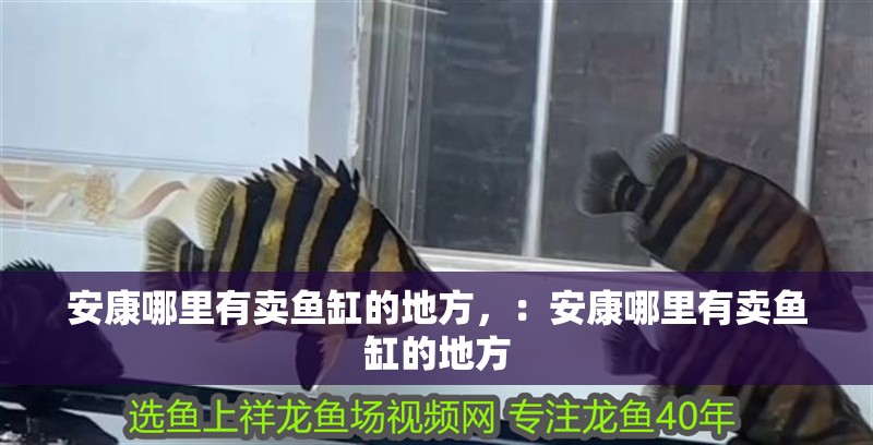 安康哪里有賣魚缸的地方，：安康哪里有賣魚缸的地方