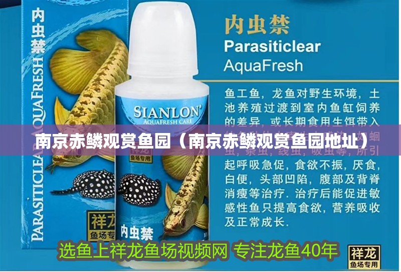 南京赤鱗觀賞魚園（南京赤鱗觀賞魚園地址）