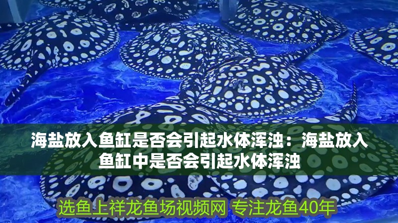 海鹽放入魚缸是否會引起水體渾濁：海鹽放入魚缸中是否會引起水體渾濁