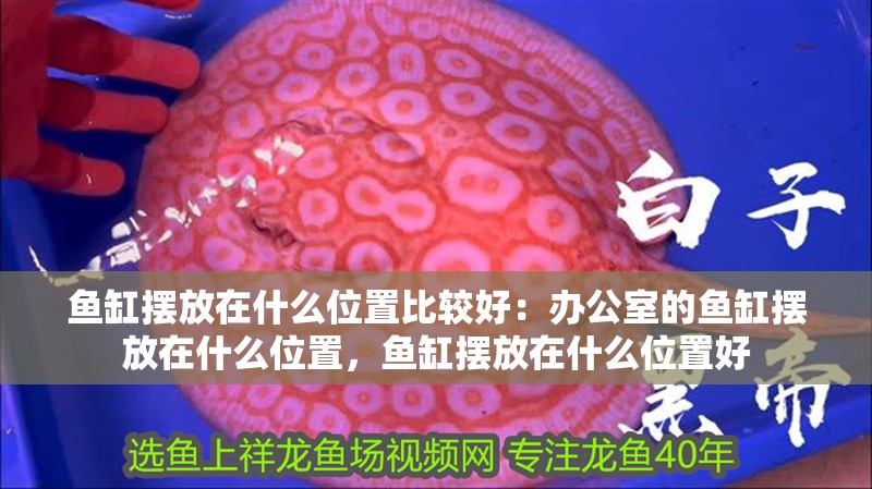 魚缸擺放在什么位置比較好：辦公室的魚缸擺放在什么位置，魚缸擺放在什么位置好