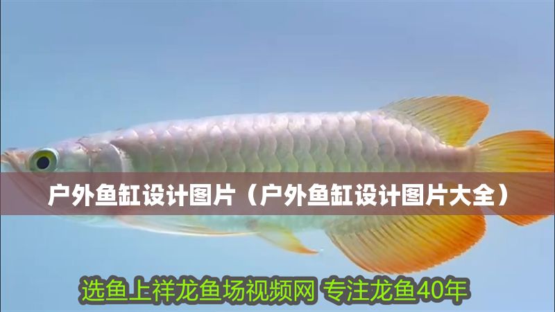 戶外魚缸設(shè)計(jì)圖片（戶外魚缸設(shè)計(jì)圖片大全）