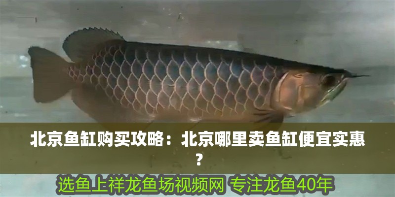 魚缸用增氧泵價格是多少:魚缸增氧機-xtrac增氧機-xtrac增氧機 北京魚缸購買攻略:北京哪里賣魚缸便宜實惠? 魚缸百科 北京魚缸購買攻略:北京哪里賣魚缸便宜實惠? 北京魚缸購買攻略:北京哪里賣魚缸便宜實惠? 魚缸百科