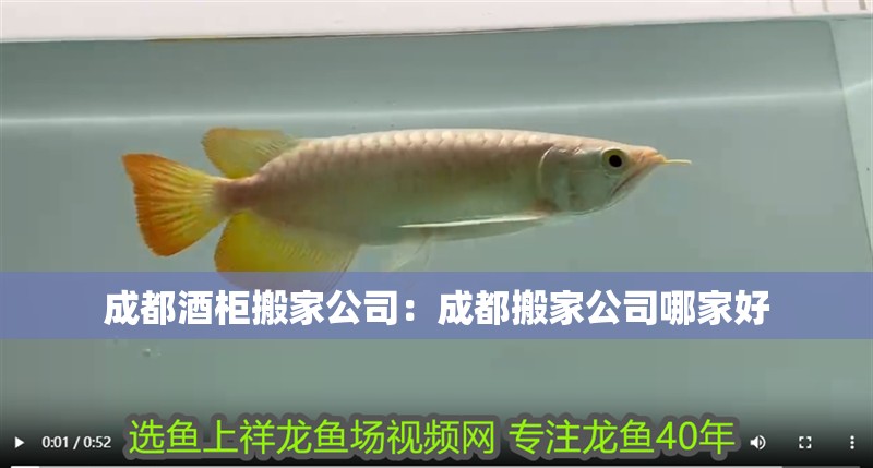 成都酒柜搬家公司：成都搬家公司哪家好