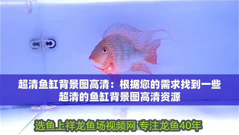 超清魚缸背景圖高清：根據(jù)您的需求找到一些超清的魚缸背景圖高清資源