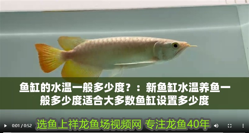 魚缸的水溫一般多少度？：新魚缸水溫養魚一般多少度適合大多數魚缸設置多少度