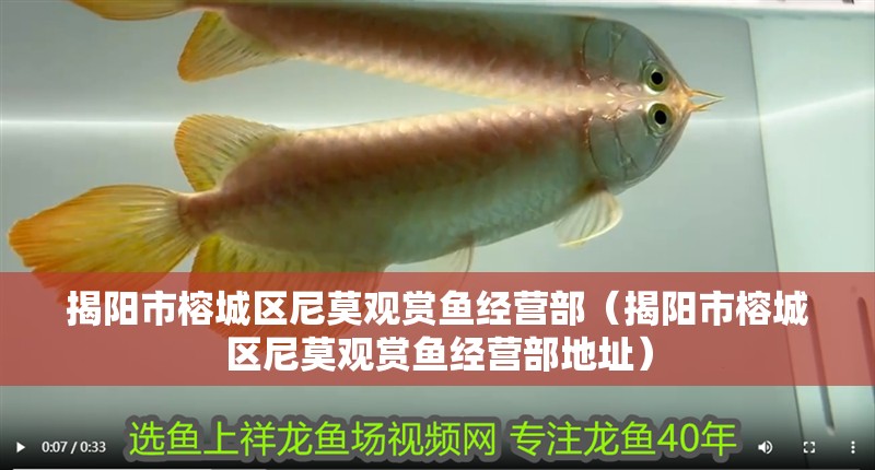 揭陽市榕城區尼莫觀賞魚經營部（揭陽市榕城區尼莫觀賞魚經營部地址）