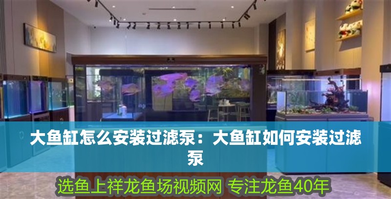 大魚缸怎么安裝過濾泵：大魚缸如何安裝過濾泵