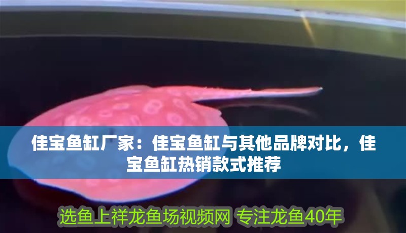 佳寶魚缸廠家：佳寶魚缸與其他品牌對比，佳寶魚缸熱銷款式推薦