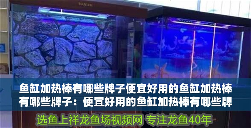 魚缸加熱棒有哪些牌子便宜好用的魚缸加熱棒有哪些牌子：便宜好用的魚缸加熱棒有哪些牌子 魚缸加熱棒有哪些牌子便宜好用的魚缸加熱棒有哪些牌子：便宜好用的魚缸加熱棒有哪些牌子 魚缸百科