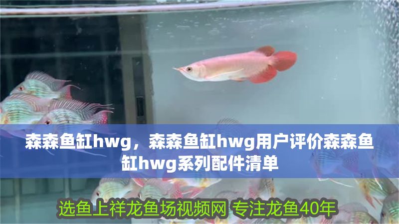 森森魚缸hwg，森森魚缸hwg用戶評(píng)價(jià)森森魚缸hwg系列配件清單