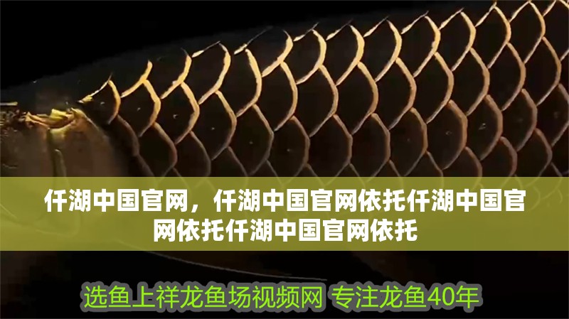 仟湖中國官網，仟湖中國官網依托仟湖中國官網依托仟湖中國官網依托