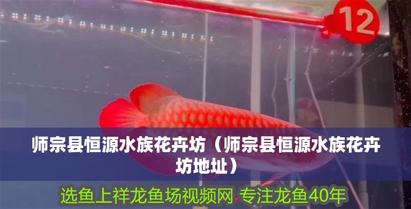 師宗縣恒源水族花卉坊（師宗縣恒源水族花卉坊地址）
