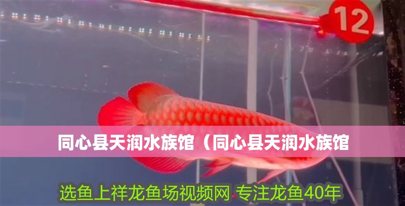 同心縣天潤水族館（同心縣天潤水族館