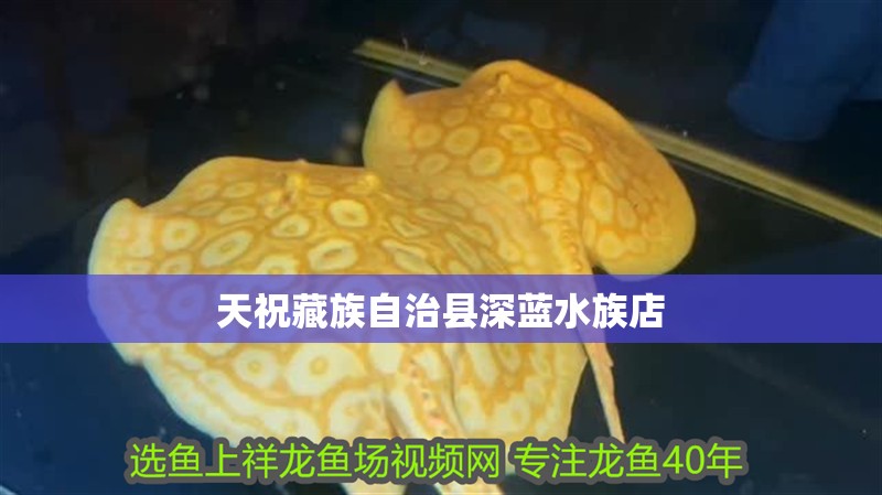 天祝藏族自治縣深藍水族店