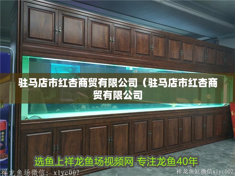 駐馬店市紅杏商貿有限公司（駐馬店市紅杏商貿有限公司 駐馬店市紅杏商貿有限公司（駐馬店市紅杏商貿有限公司 全國水族館企業名錄 第2張