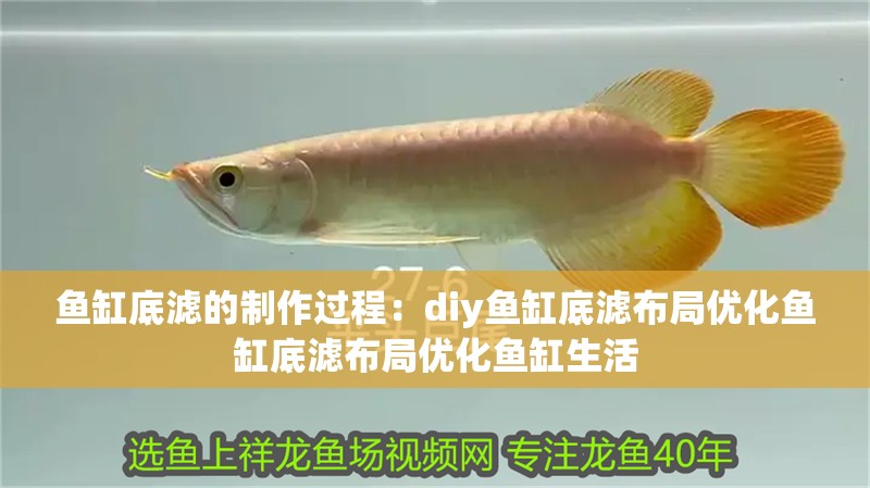 龍魚怕什么 魚缸底濾的制作過程:diy魚缸底濾布局優化魚缸底濾布局優化魚缸生活 魚缸百科 魚缸底濾的制作過程:diy魚缸底濾布局優化魚缸底濾布局優化魚缸生活 魚缸底濾的制作過程:diy魚缸底濾布局優化魚缸底濾布局優化魚缸生活 魚缸百科