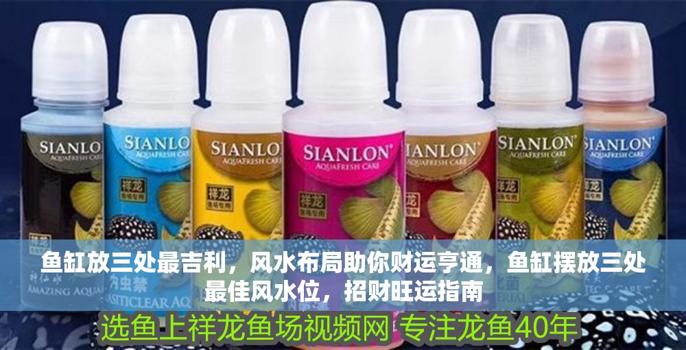 魚缸放三處最吉利，風水布局助你財運亨通，魚缸擺放三處最佳風水位，招財旺運指南