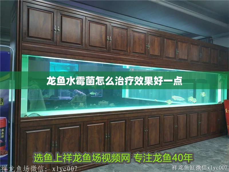 龍魚水霉菌怎么治療效果好一點