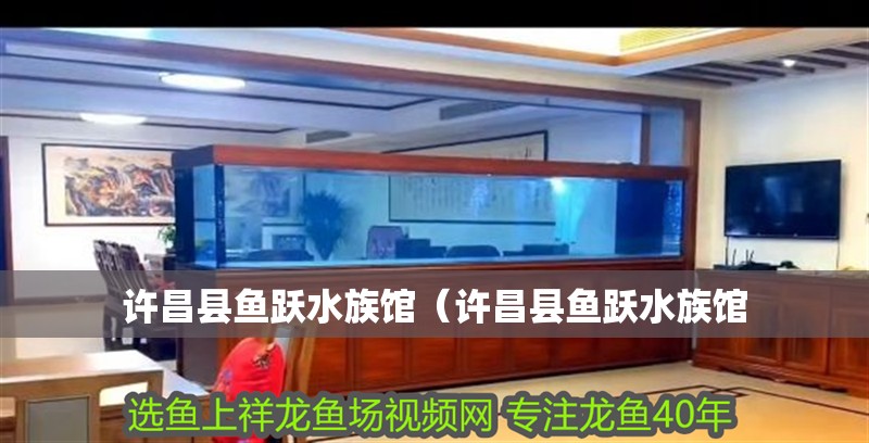 許昌縣魚躍水族館(許昌縣魚躍水族館 全國水族館企業名錄 第2張 許昌縣魚躍水族館(許昌縣魚躍水族館 許昌縣魚躍水族館(許昌縣魚躍水族館 全國水族館企業名錄 第2張