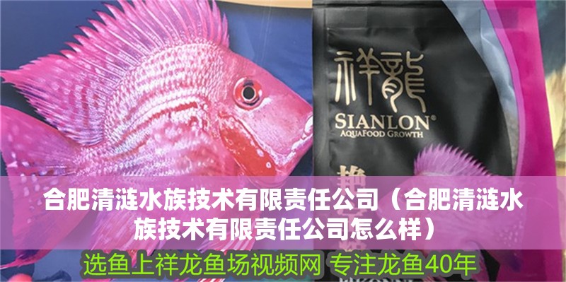 合肥清漣水族技術(shù)有限責(zé)任公司（合肥清漣水族技術(shù)有限責(zé)任公司怎么樣） 合肥清漣水族技術(shù)有限責(zé)任公司（合肥清漣水族技術(shù)有限責(zé)任公司怎么樣） 全國水族館企業(yè)名錄 第2張