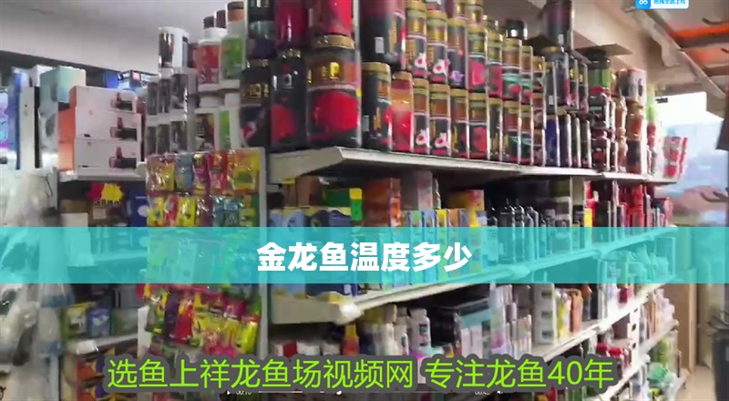 金龍魚溫度多少