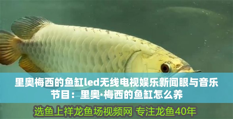 里奧梅西的魚缸led無線電視娛樂新聞眼與音樂節目：里奧·梅西的魚缸怎么養